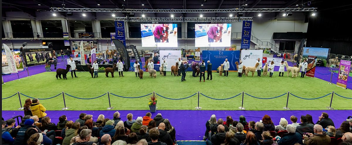 British Alpaca Society National Show 2025