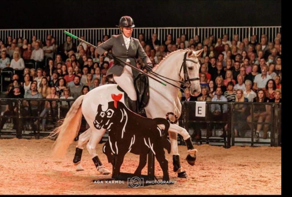 Suzanne Dipple Working Equitation clinic 