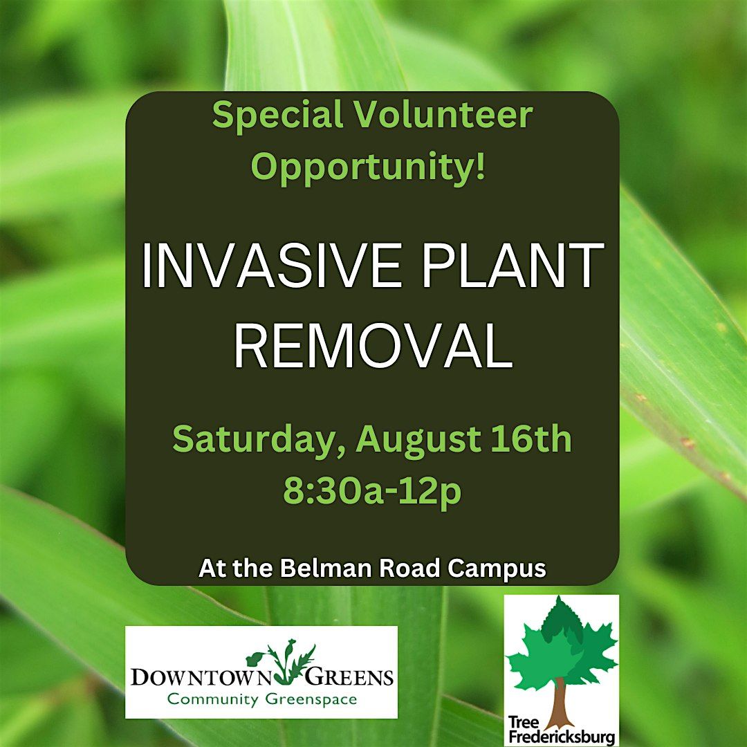 Invasive Plant Removal - Special W**d Whackathon Project: Pt. 2