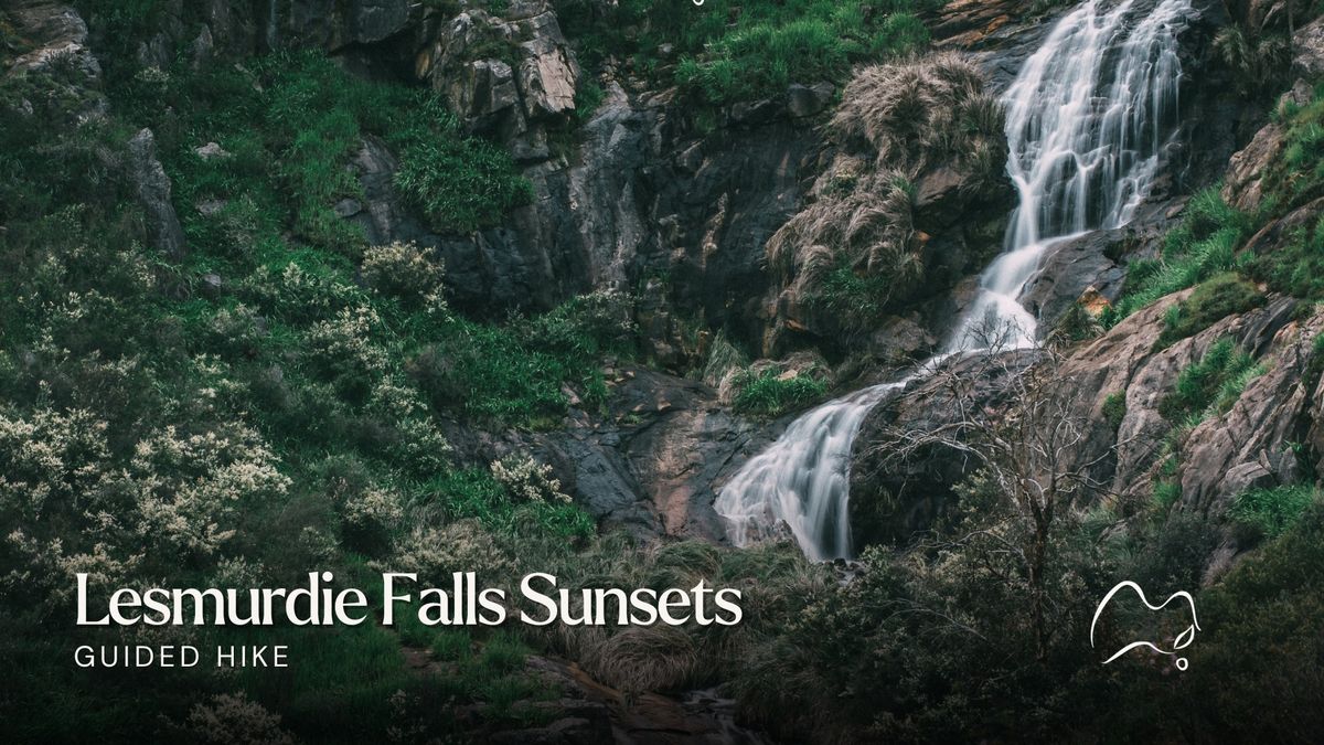 Lesmurdie Falls At Sunset Guided Hike