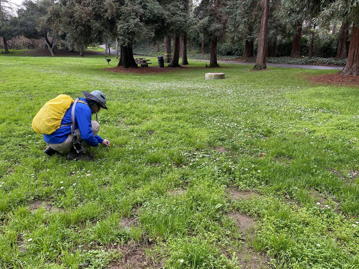 Kelley Park BioBlitz