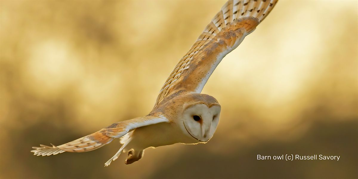 What a Hoot!  Wild Child Workshop