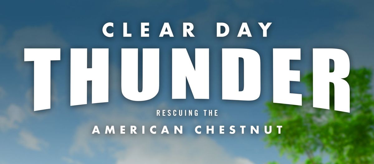 Film Screening: "CLEAR DAY THUNDER: Rescuing the American Chestnut"