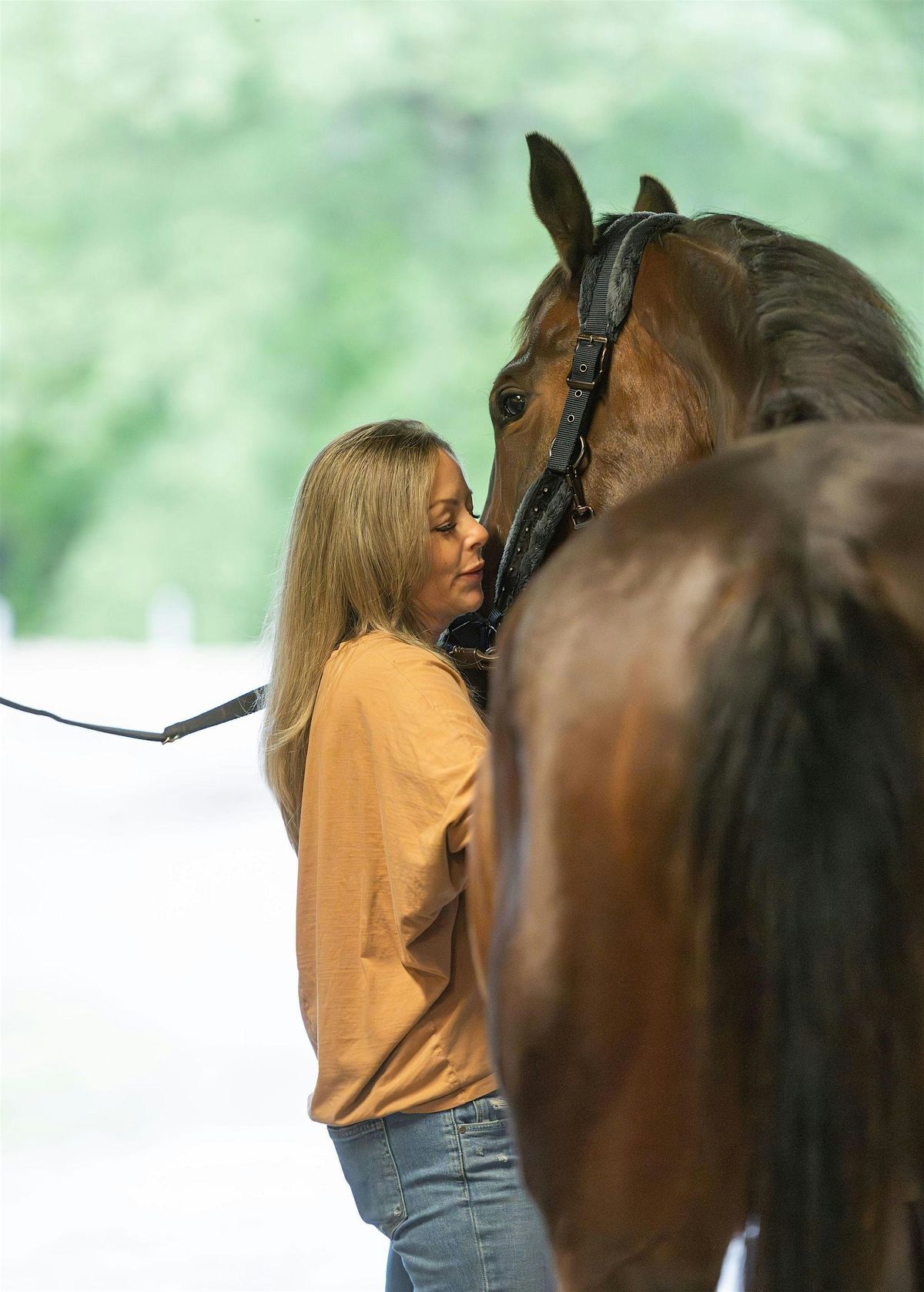 Meditation with the Horses