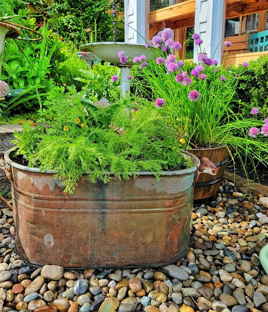 Container Gardening