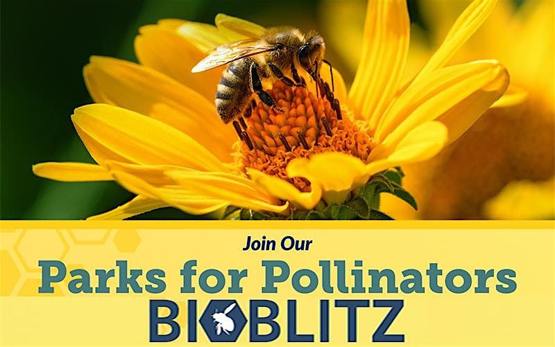 Third Annual Parks for Pollinators BioBlitz