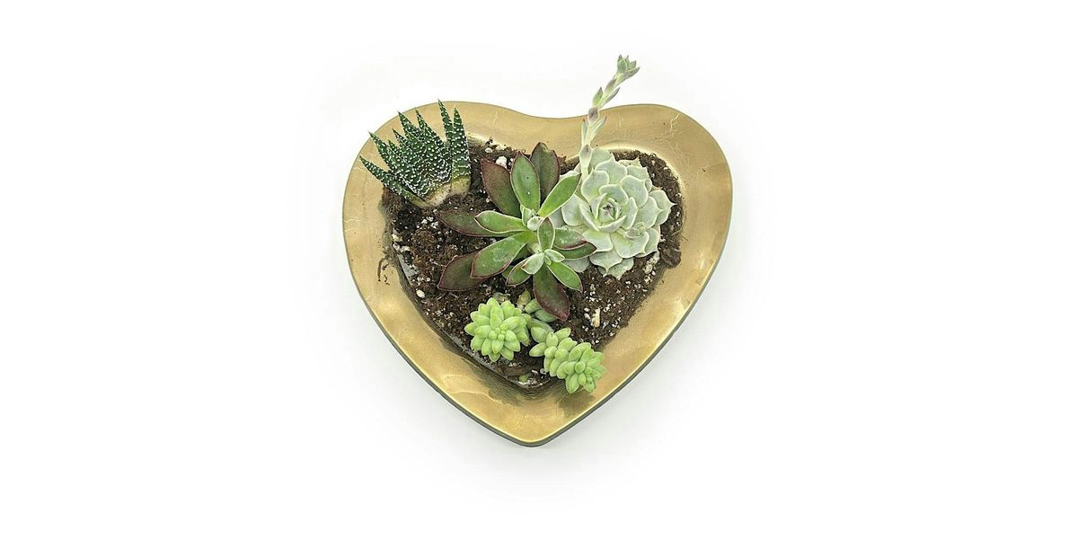 Get Creative ! Make a DIY Heart Succulent Garden, February 14th