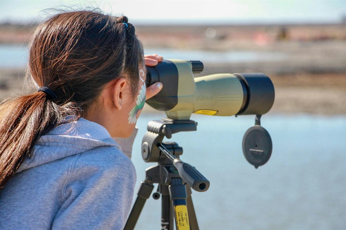 Nature Collective Hosts Wings Over Wetlands Festival