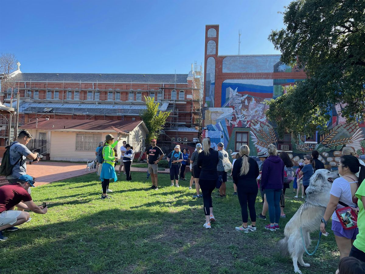713Walks Arts District  Experience