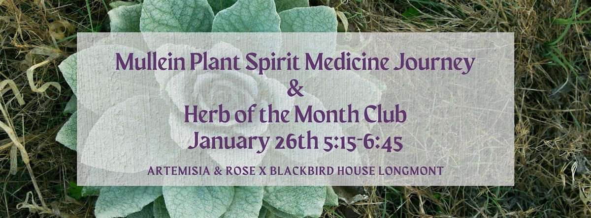 Mullein: Plant Spirit Medicine Journey and Herb of the Month Club