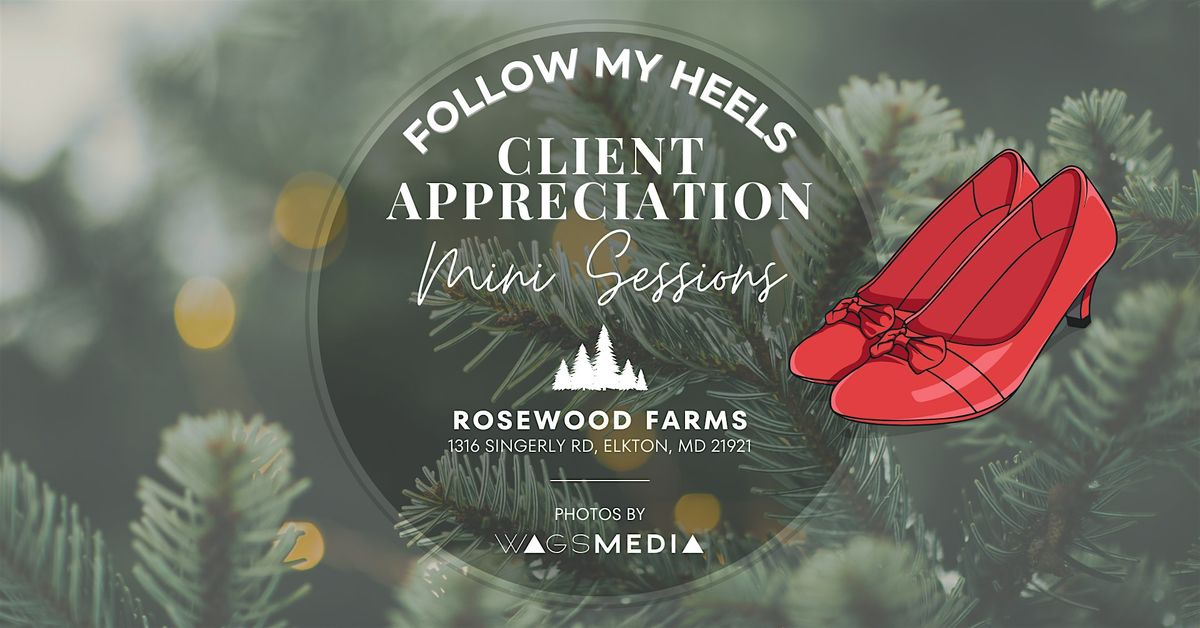 Follow My Heels Client Appreciation - Christmas Photo Mini Sessions