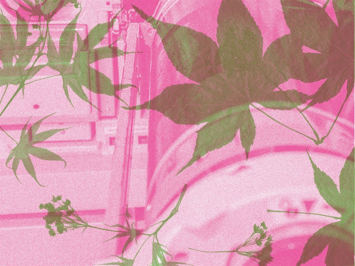 Fugitive Impressions with Matiz Press