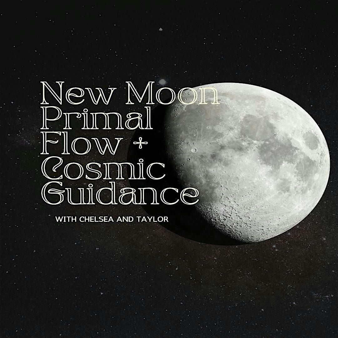 New Moon Primal Flow & Cosmic Guidance