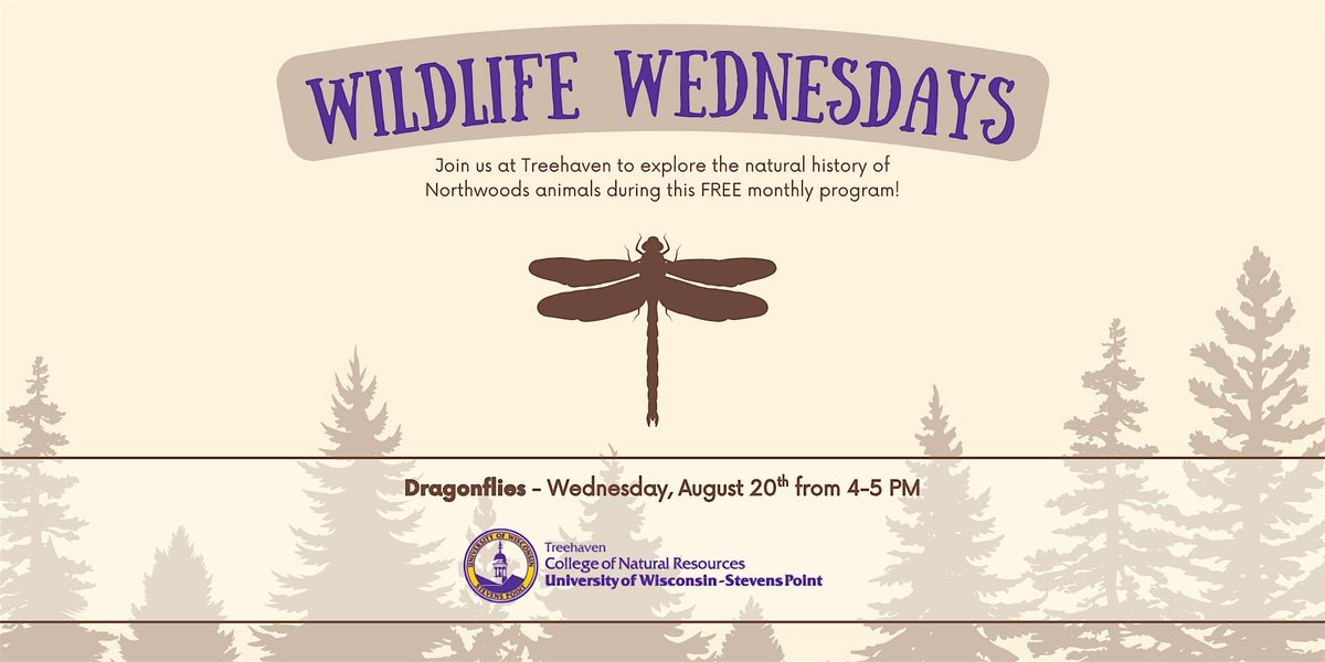 Wildlife Wednesday at Treehaven: Dragonflies