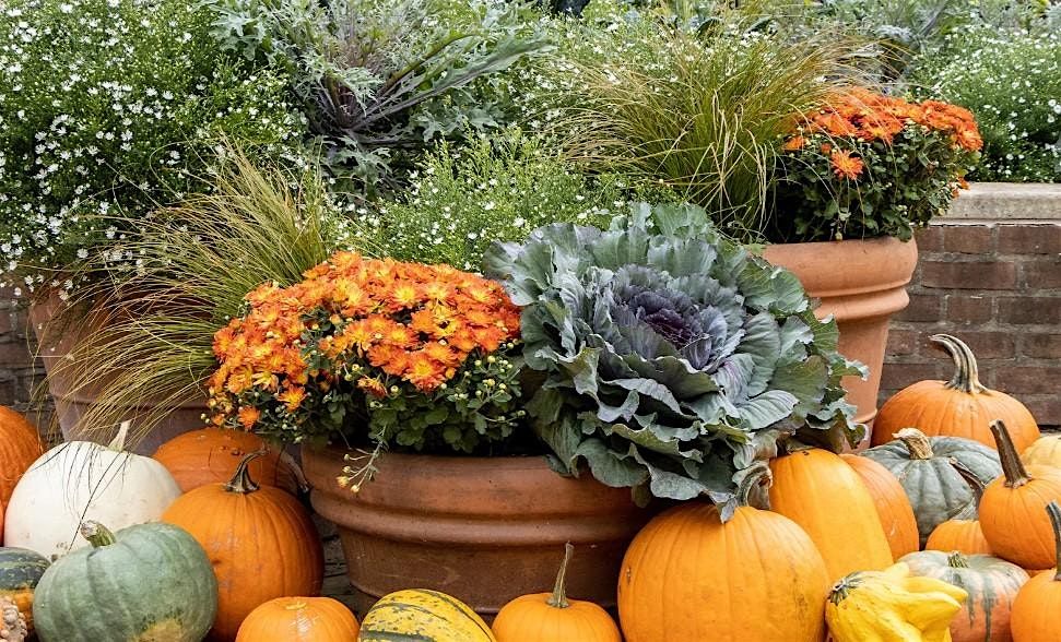 Pots of Possibilities- Plant Now, Bloom Later