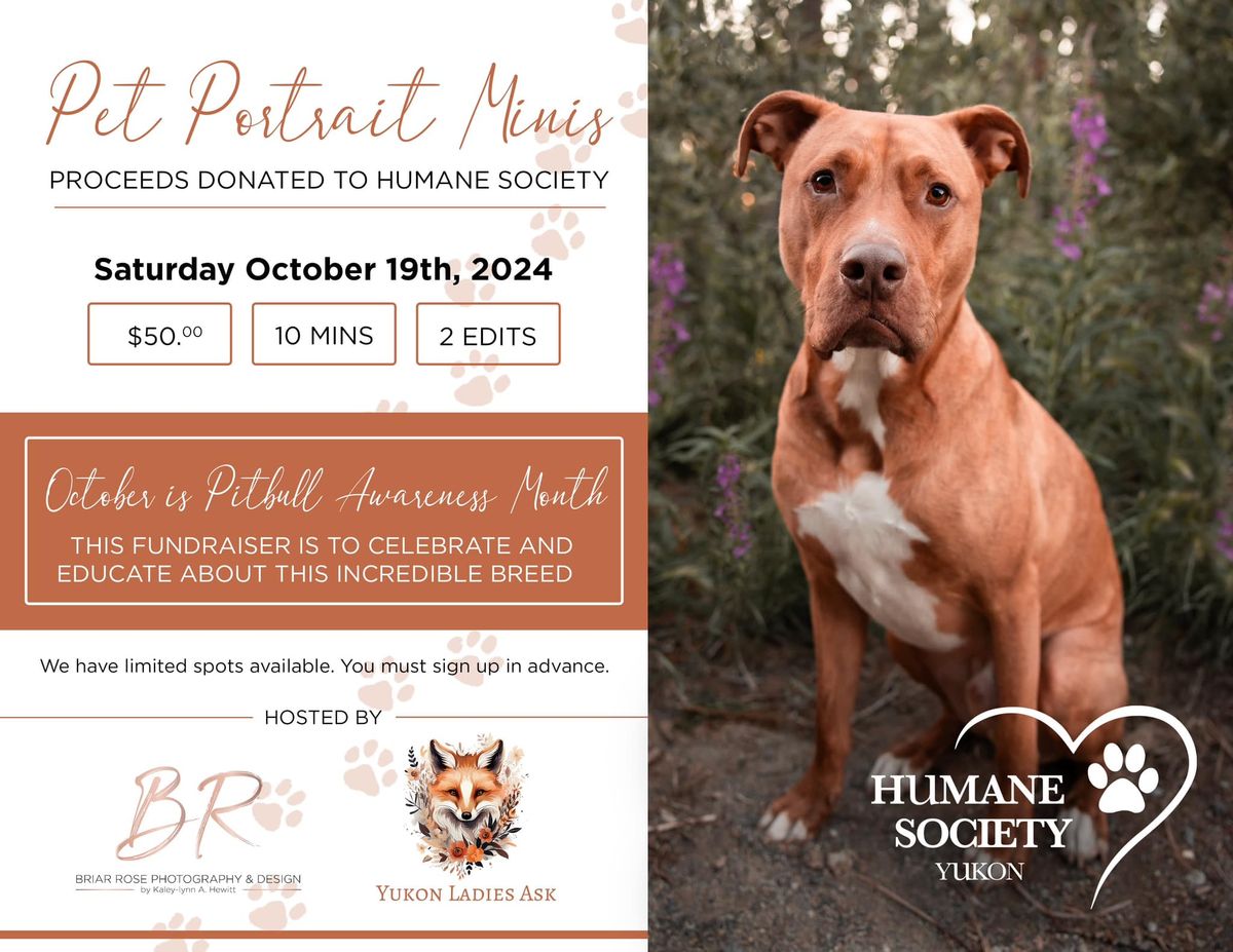 Pet Portrait Mini's Fundraiser for the Human Society Yukon