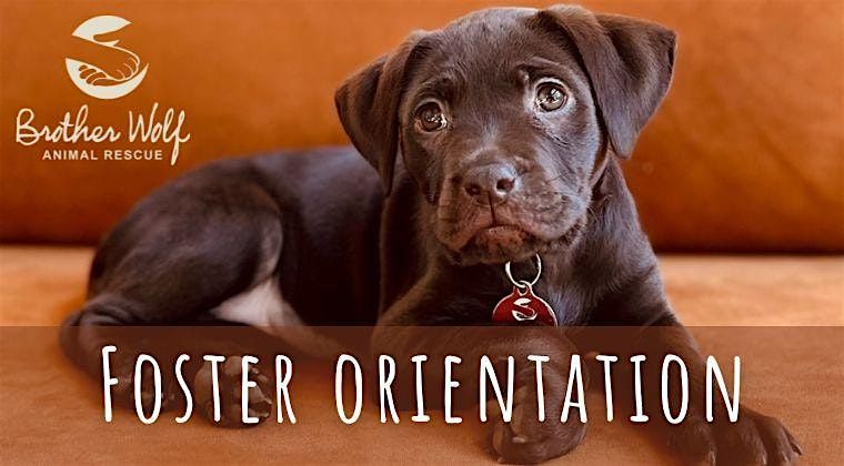 Foster Parent Orientation