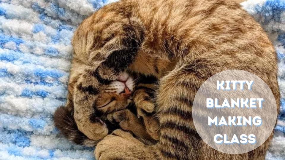 SOLD OUT- Kitty Blanket Making Class 