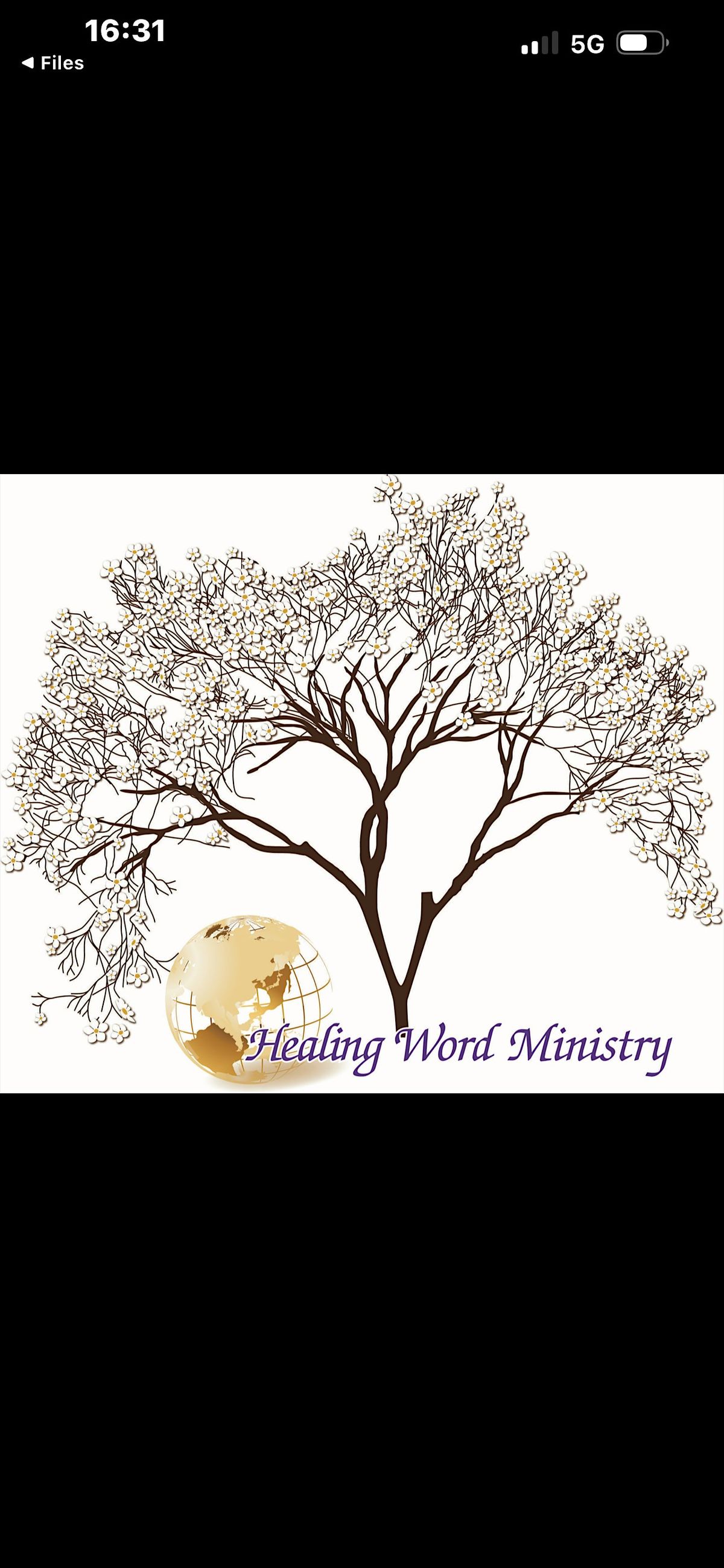 Healing Word Ministry's (Elegant)Thanksgiving Dinner