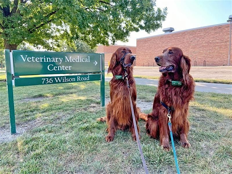 Mid-Michigan Spartans Behind the Scenes at MSU Veterinary Medical Center