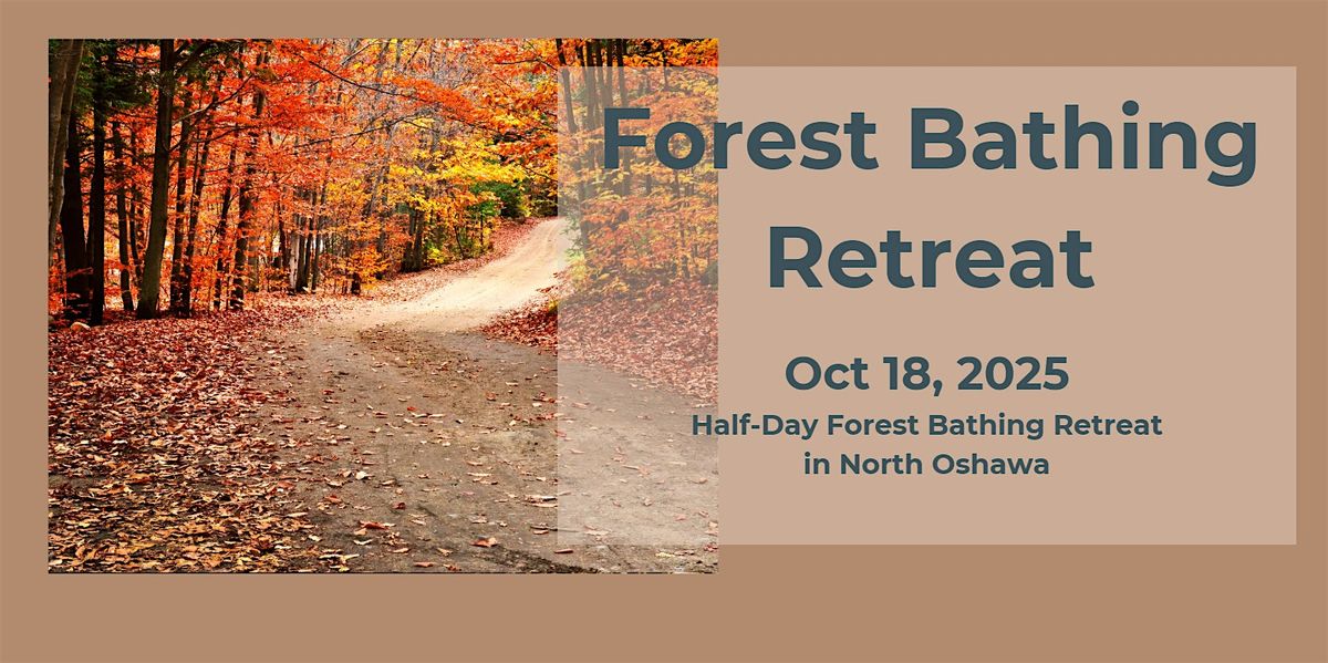 Half Day Forest Bathing Retreat