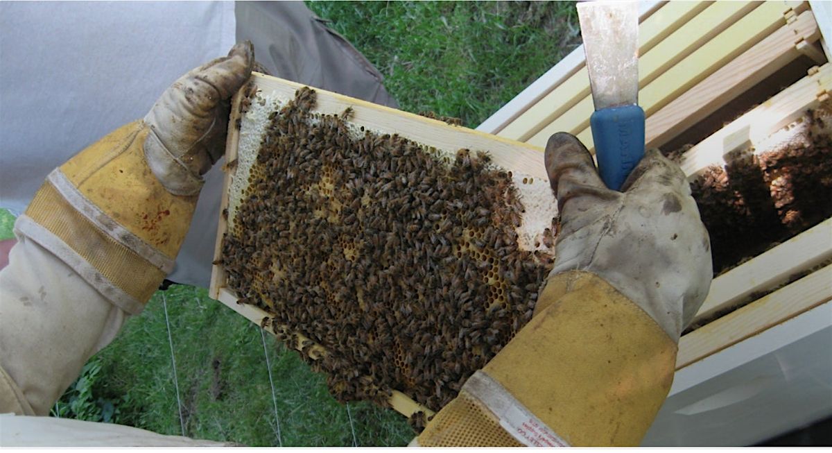 HCBA 2026 BEE SCHOOL