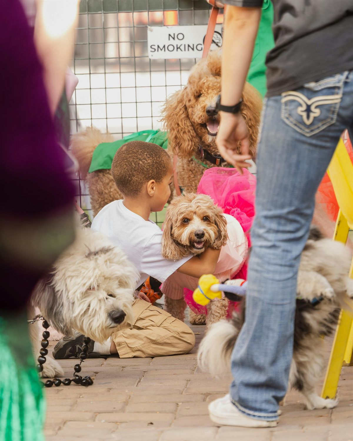 Pups + Pints : Adoption Event