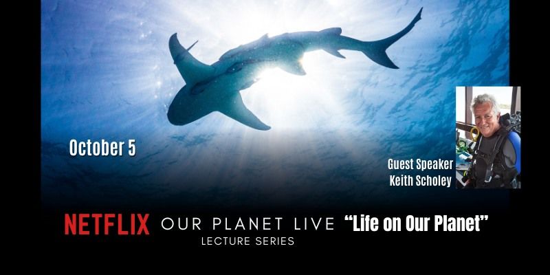 Netflix's Our Planet Live: "Life on Our Planet"