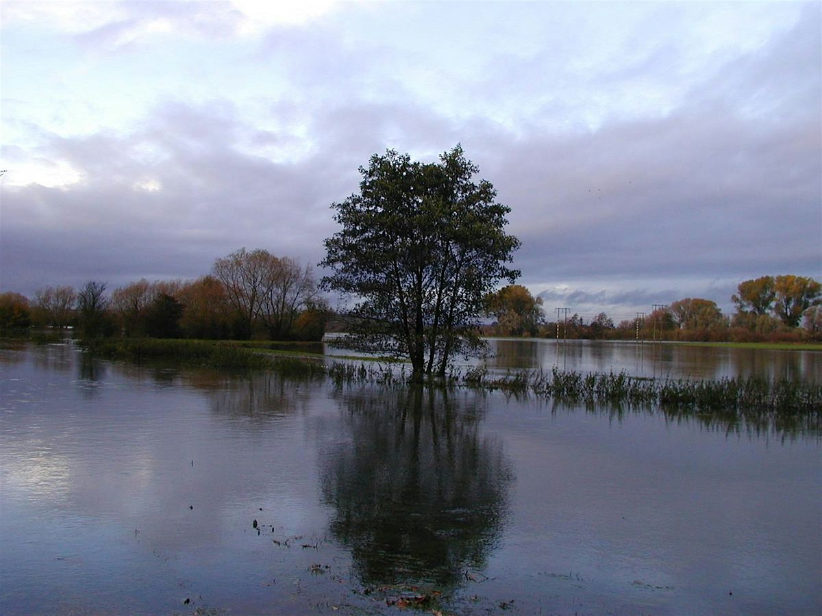 Climate Change and its Impact on Biodiversity