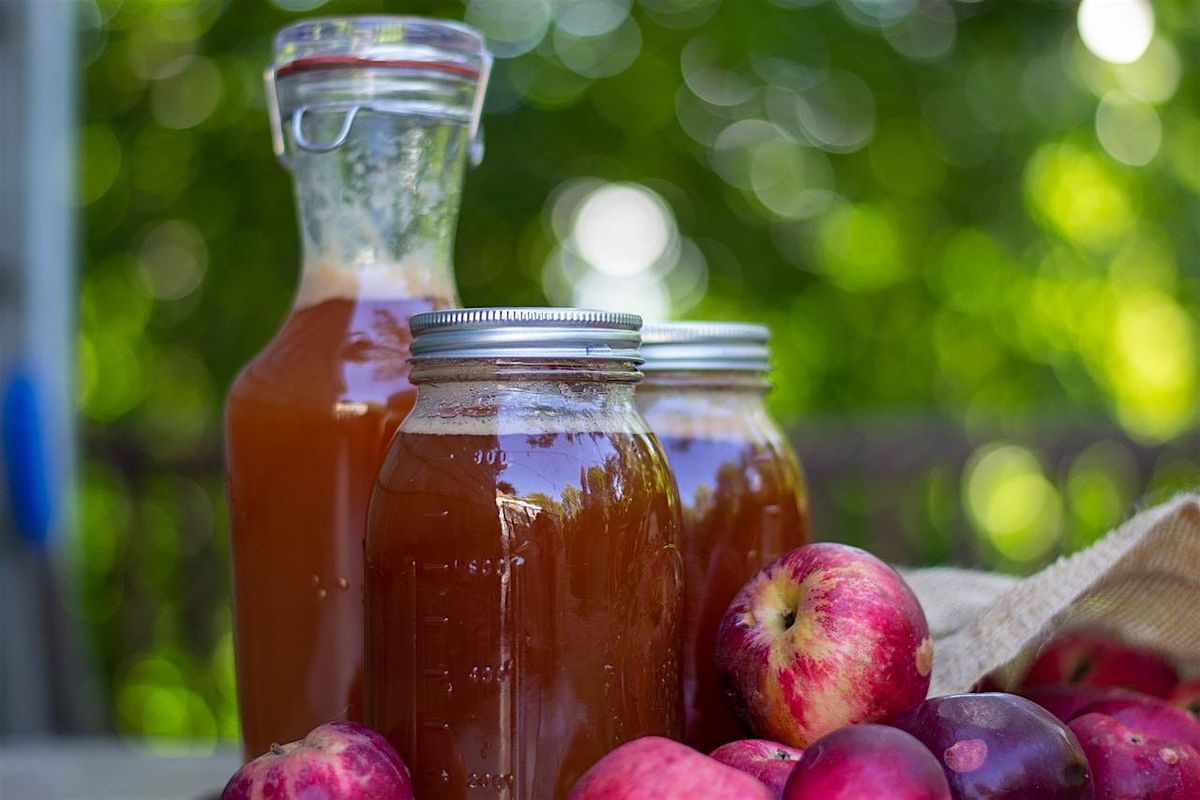 Fermentation Fridays: Fruit vinegars and fire cider