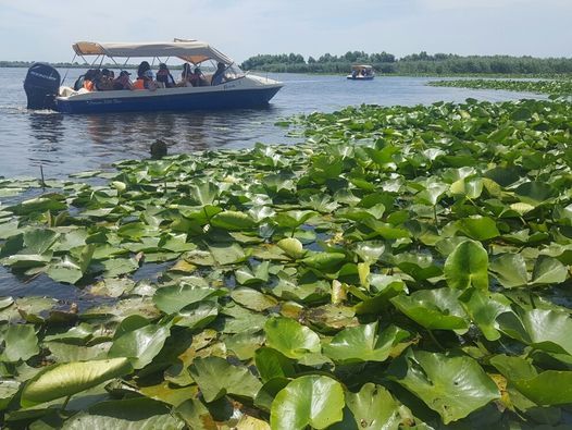 Delta Dunarii Unesco Tour \u2013 O Zi in Rezervatia Biosferei