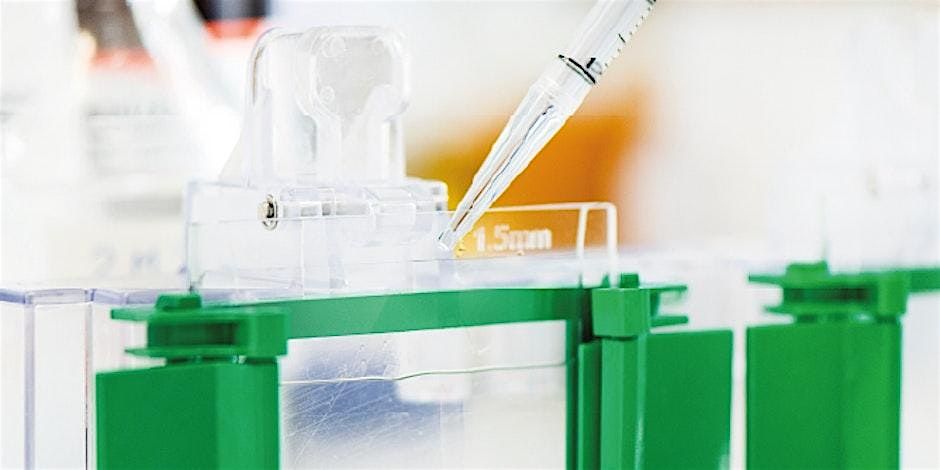 Innovative Proteintech Products
