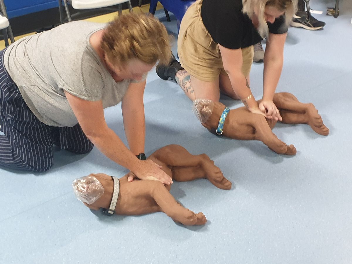 NOV\/2024 - Perth WA - Dog First Aid Course