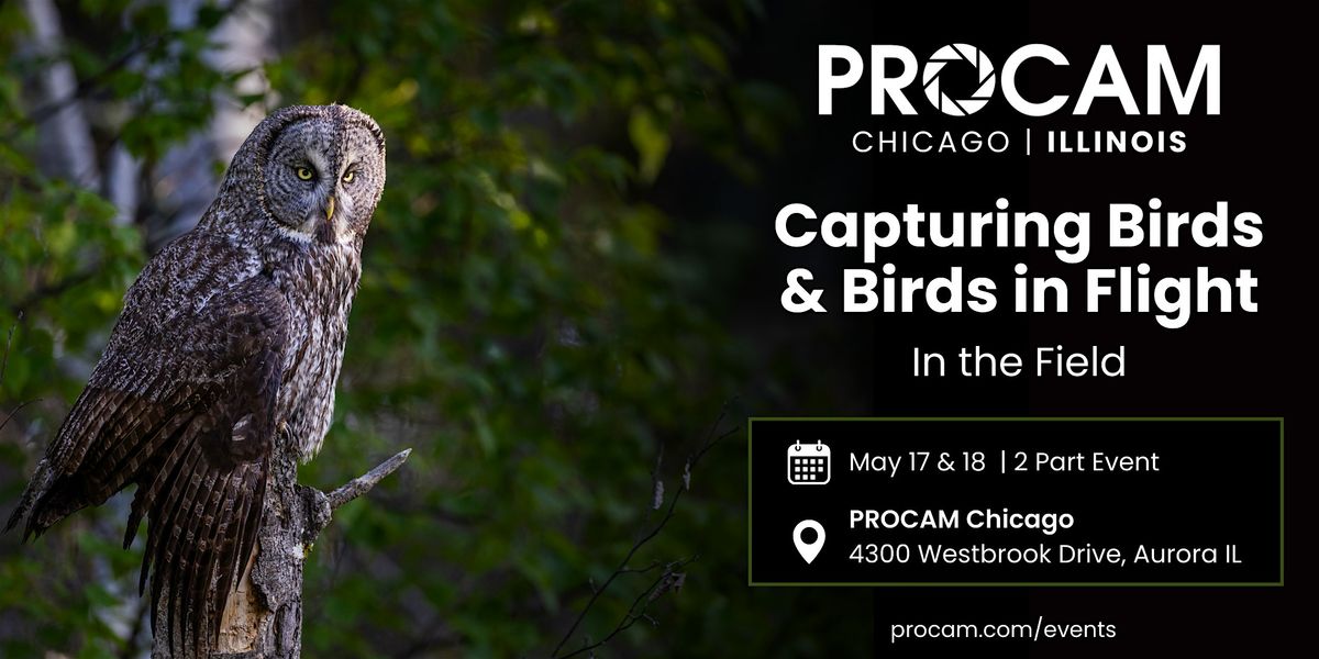 In the Field: Capturing Birds and Birds in Flight