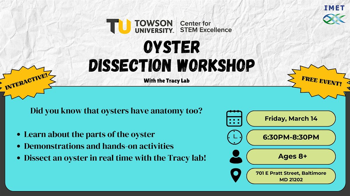 Oyster Dissection Workshop