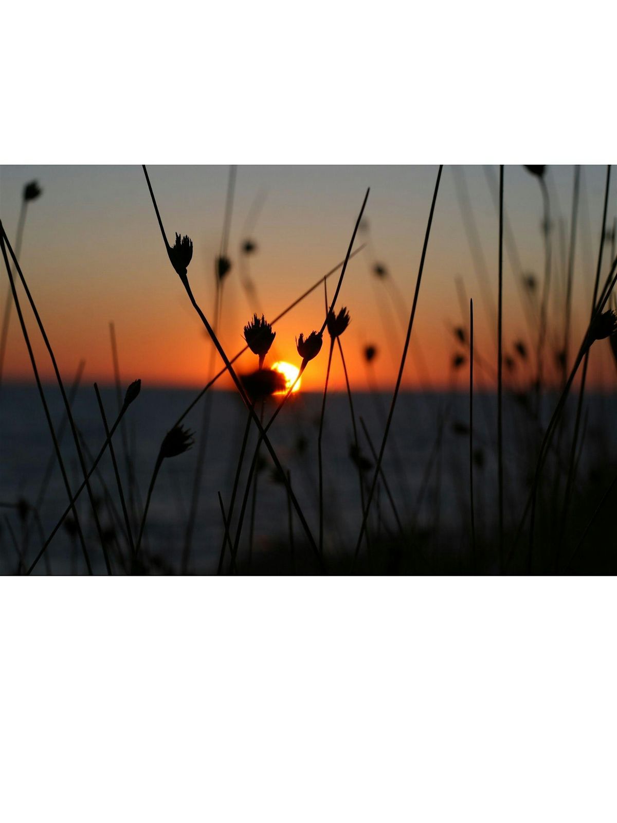 Autumn Sunset Stroll - Family Program, $4 cash per person upon arrival
