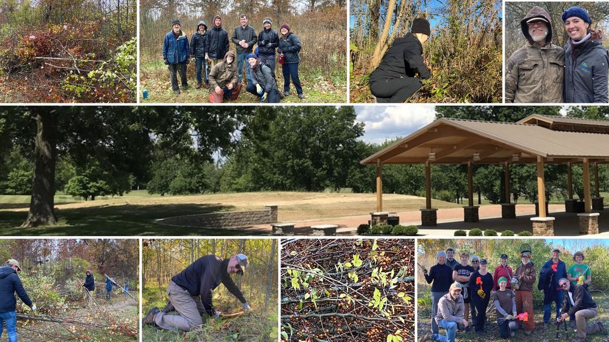 Kingswood Park Habitat Restoration Community Day