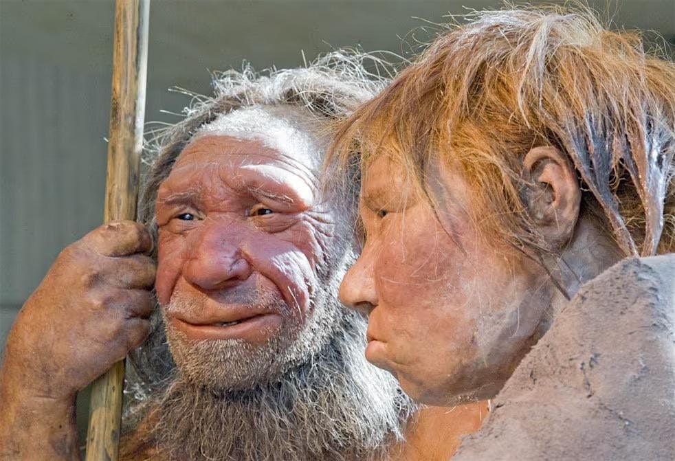 Neandertals