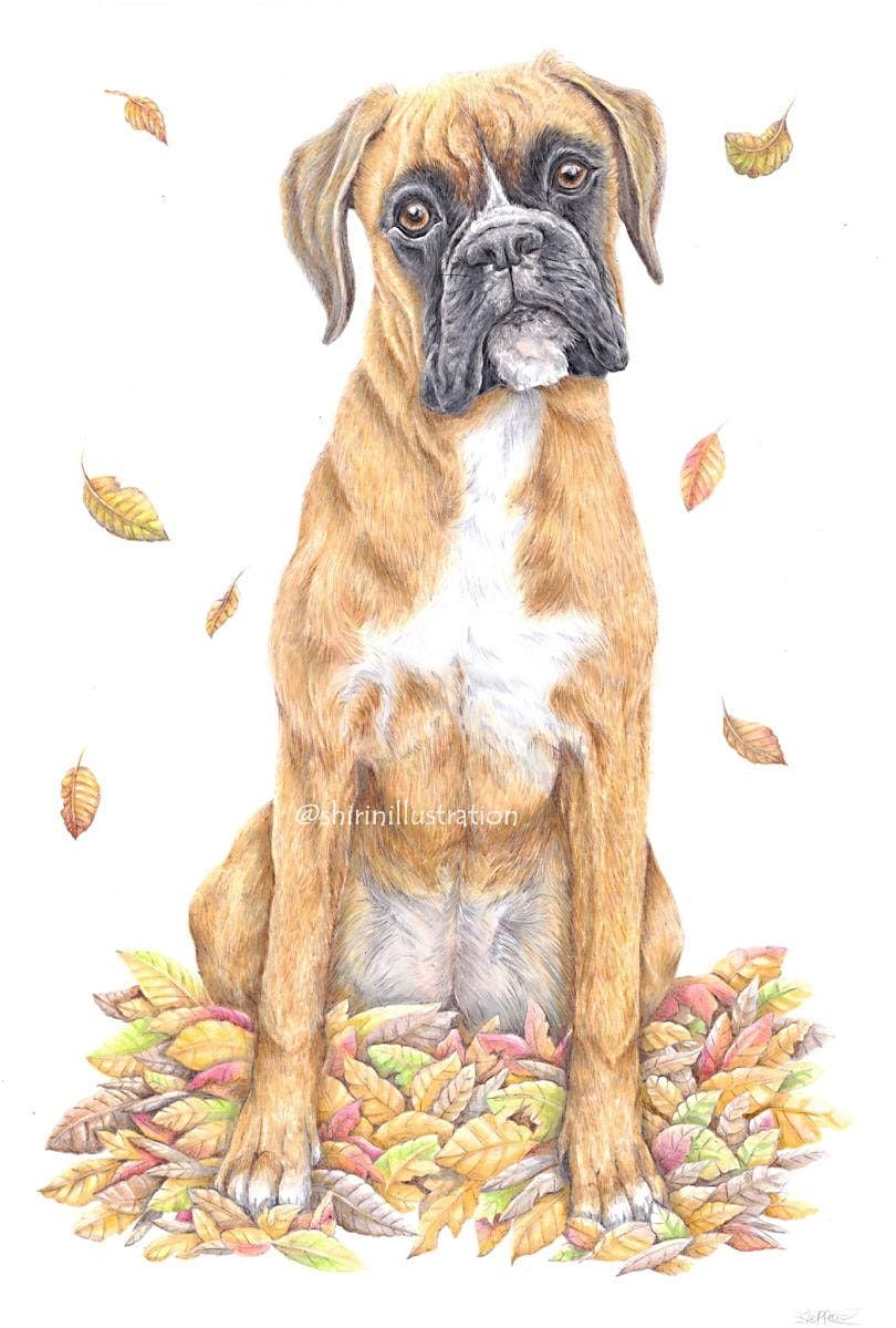 Pet Portraiture Workshops