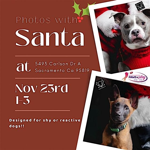 Santa Paws aka Santa Clause Photos for shy or reactive dogs!