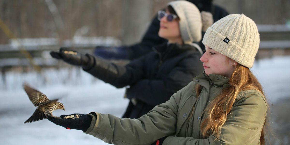 Kensington Nature Center Birding Walk