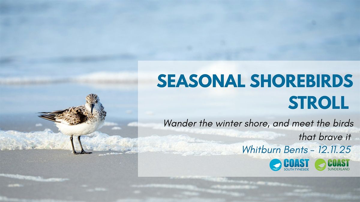 Seasonal Shorebirds Stroll