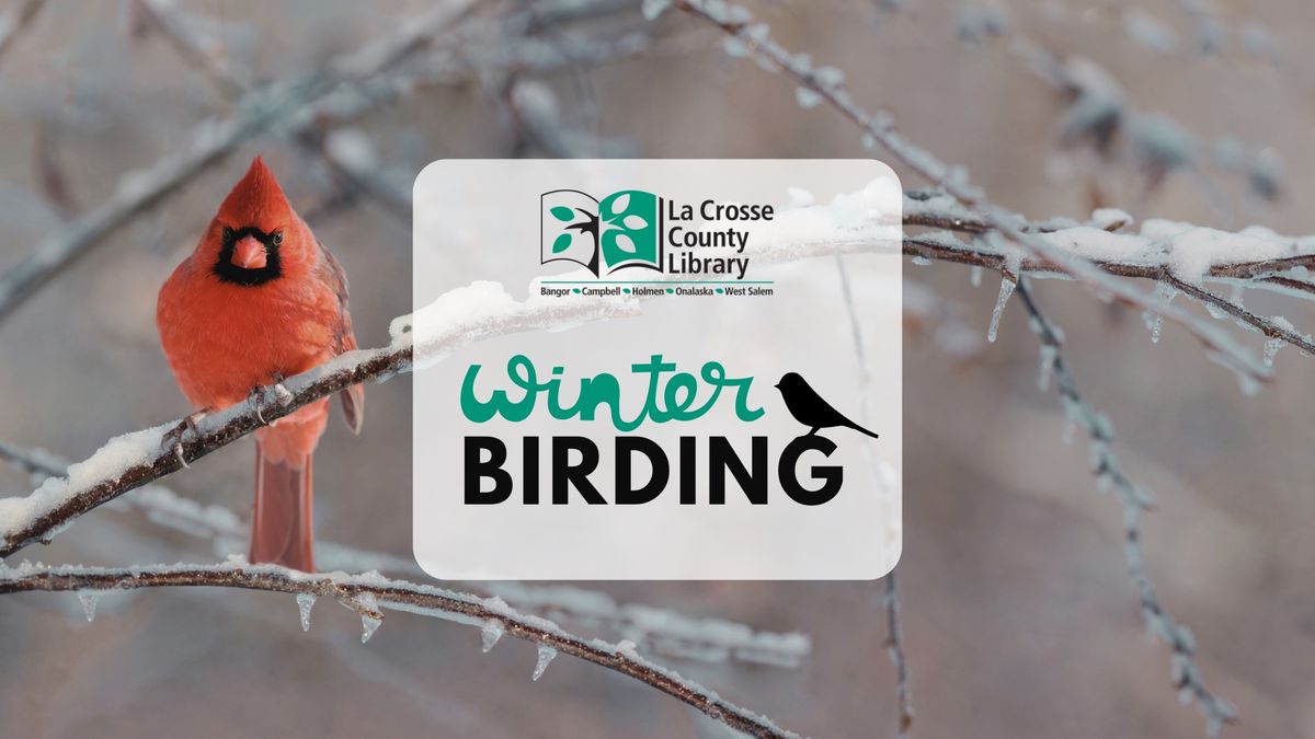 Winter Birding with Michael Huffman