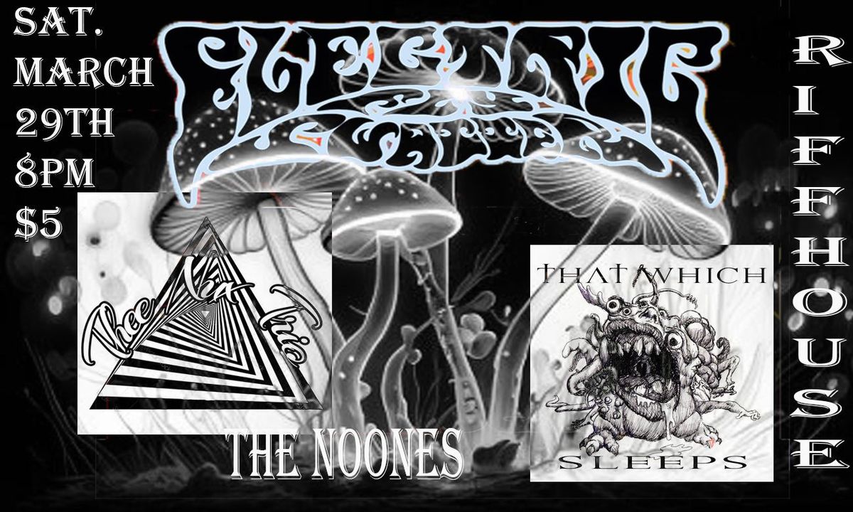 ELECTRIC FLY SWATTER, THAT WHICH SLEEPS, THEE NUX TRIO, THE NOONES 