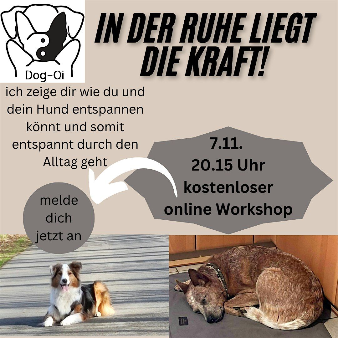 In der Ruhe liegt die Kraft-auch beim Hund