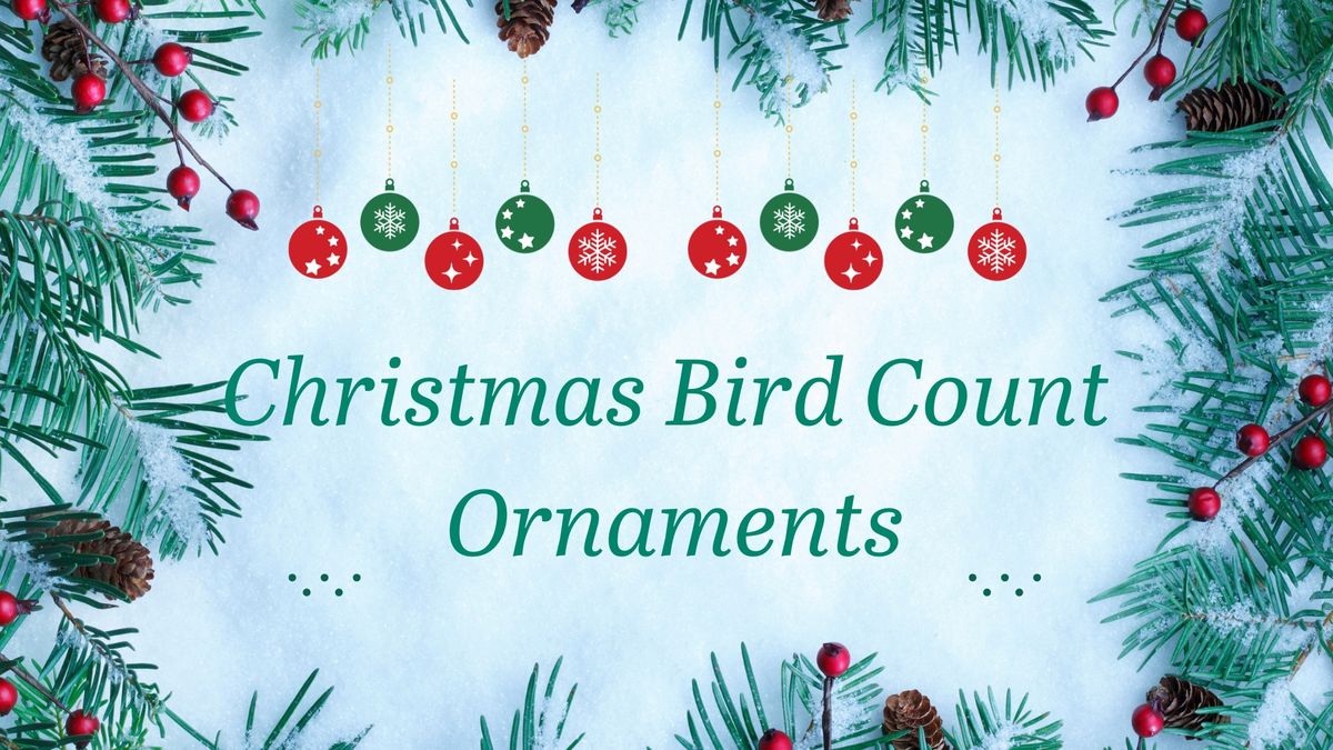 Christmas Bird Count Ornamemts