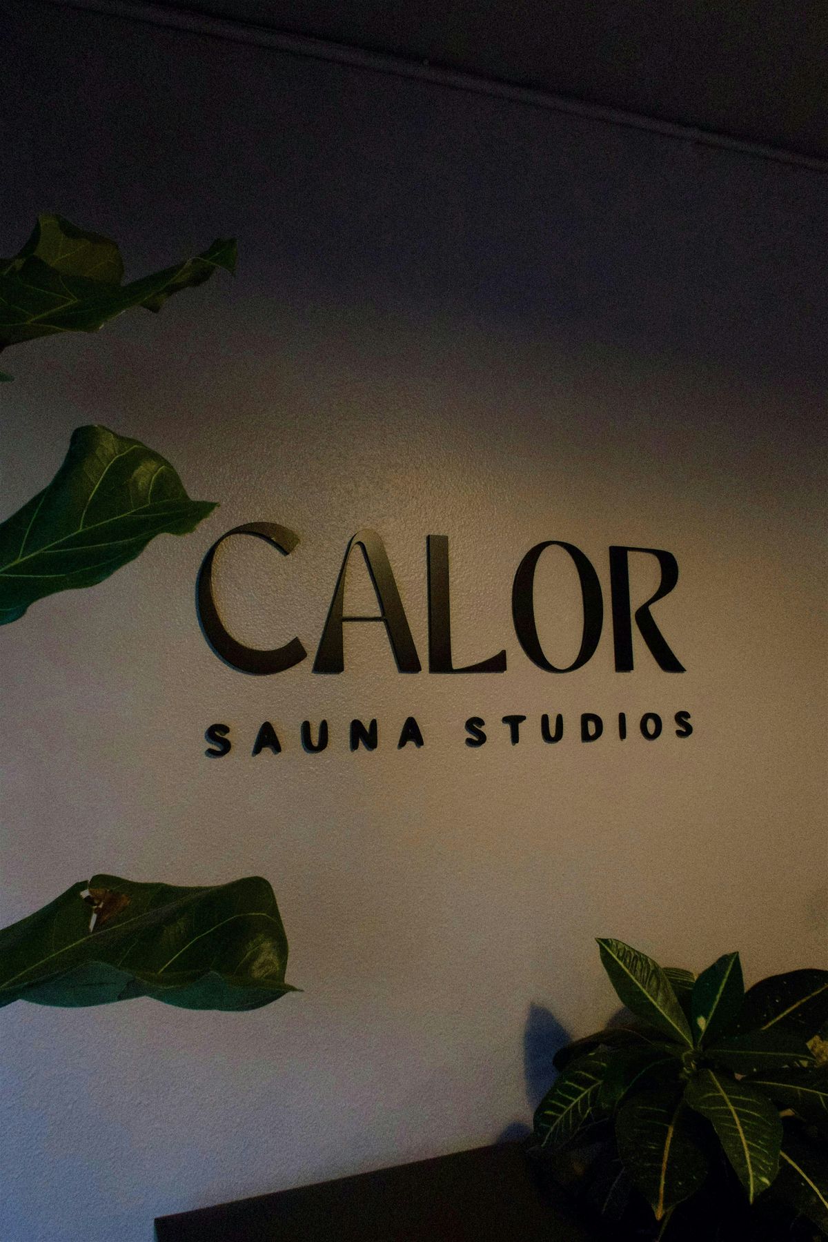 HIIT + Sauna\/Cold Plunge Social
