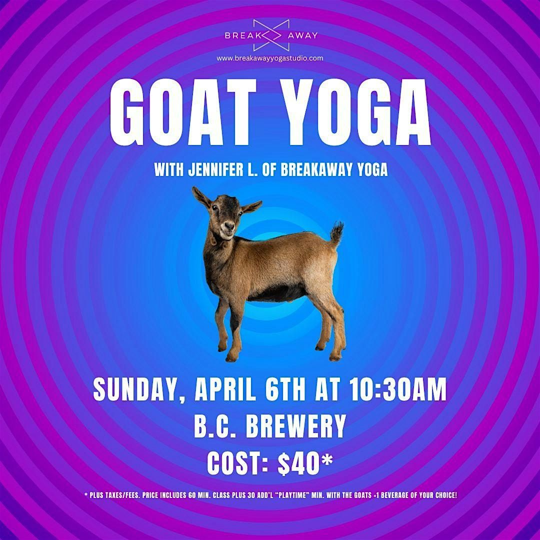 Goat Yoga at B.C. Brewery