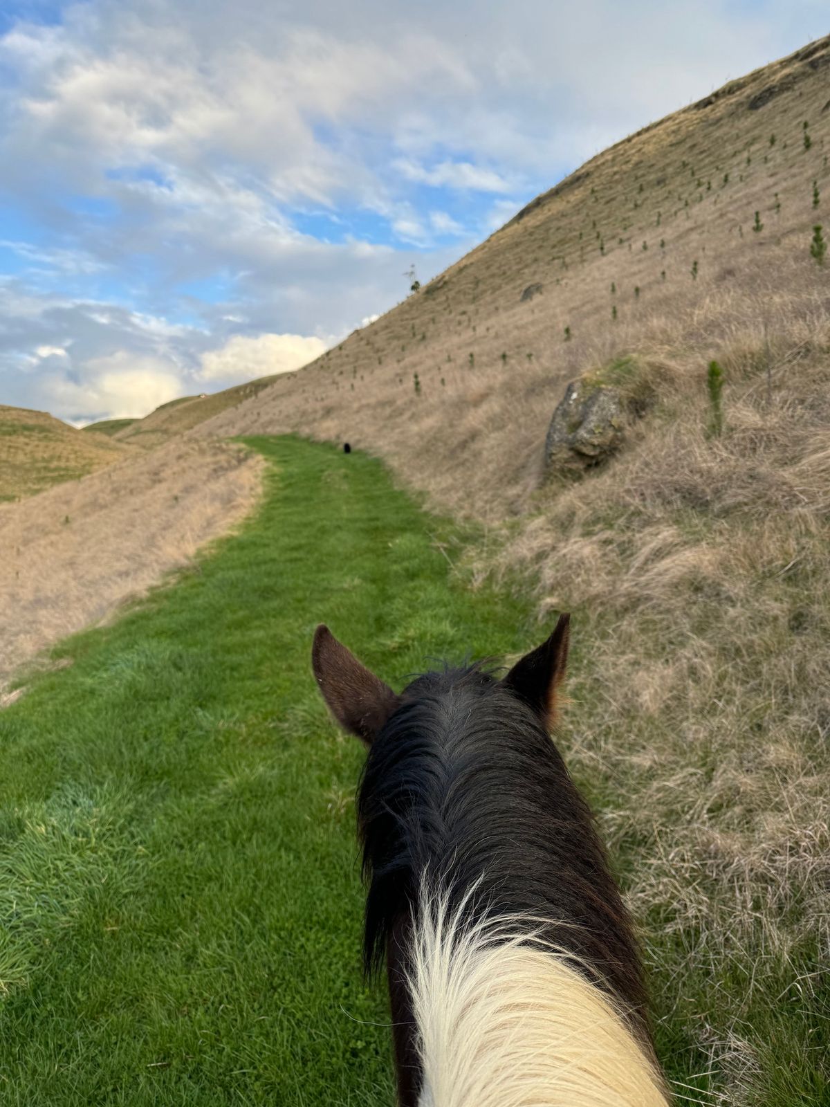 Raukawa Hall Fundraiser Horse Trek