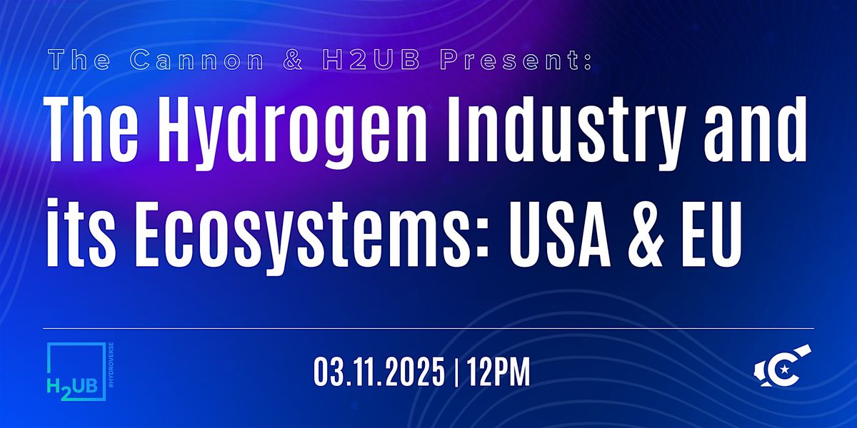 The Hydrogen Industry and its Ecosystems: USA & EU